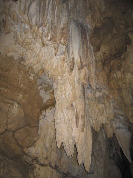 Baratang - Stalaktit in der Kalksteinhoehle