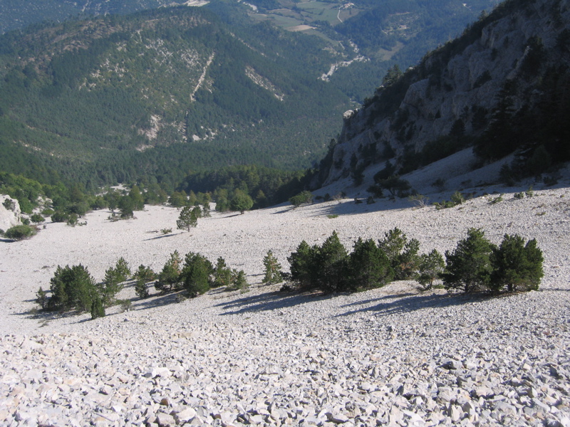 The northern side of Mont Ventoux